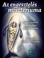 Molnár Csaba Bertalan: Az engesztelés minisztériuma (epub)